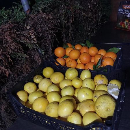 Agriturismo Cele Celle Ligure Dış mekan fotoğraf