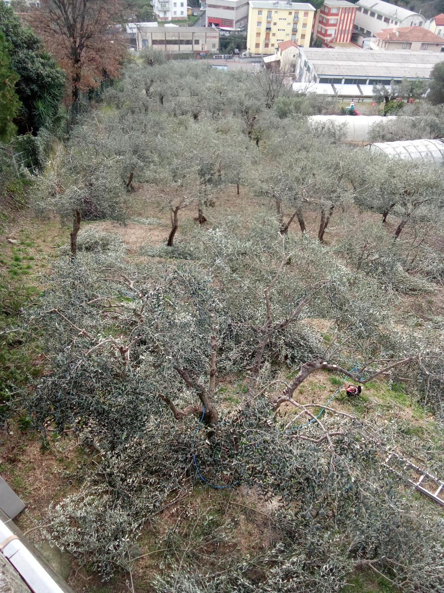 Agriturismo Cele Celle Ligure Dış mekan fotoğraf