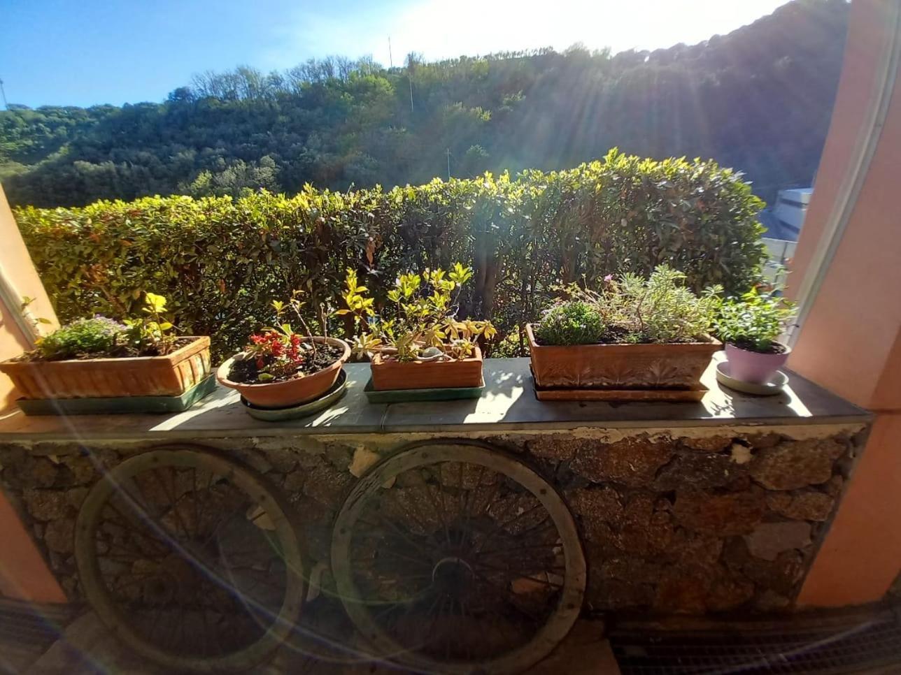 Agriturismo Cele Celle Ligure Dış mekan fotoğraf