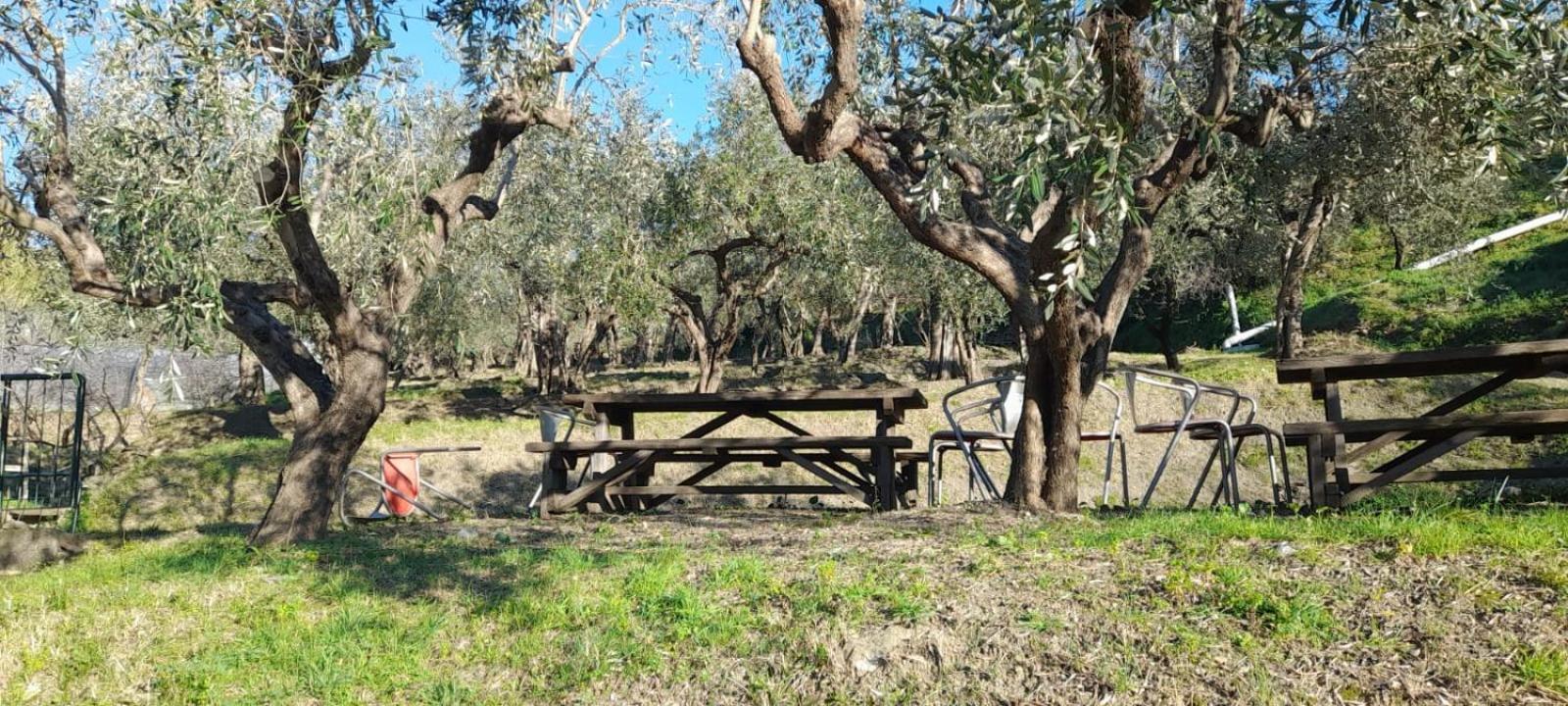 Agriturismo Cele Celle Ligure Dış mekan fotoğraf