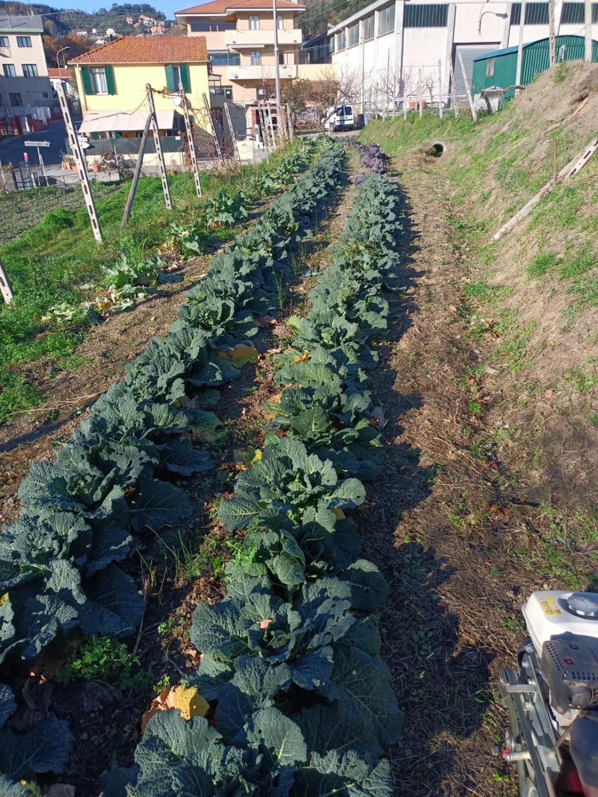 Agriturismo Cele Celle Ligure Dış mekan fotoğraf