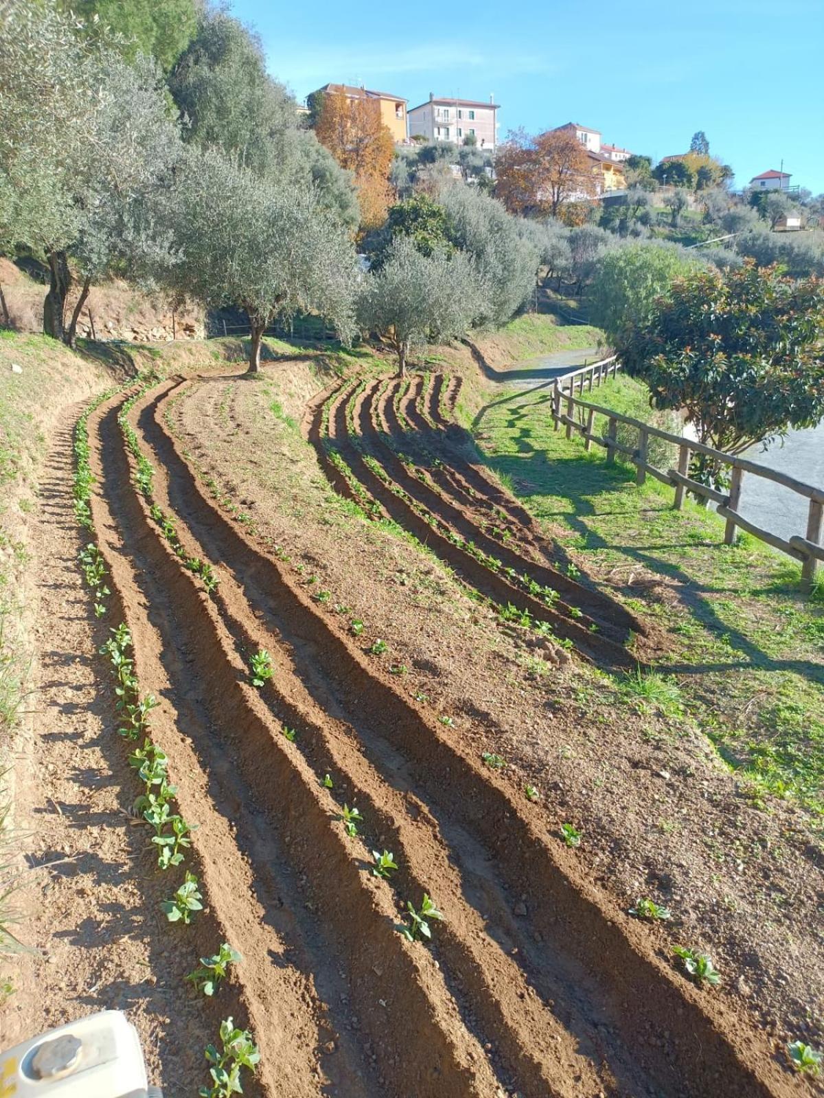 Agriturismo Cele Celle Ligure Dış mekan fotoğraf