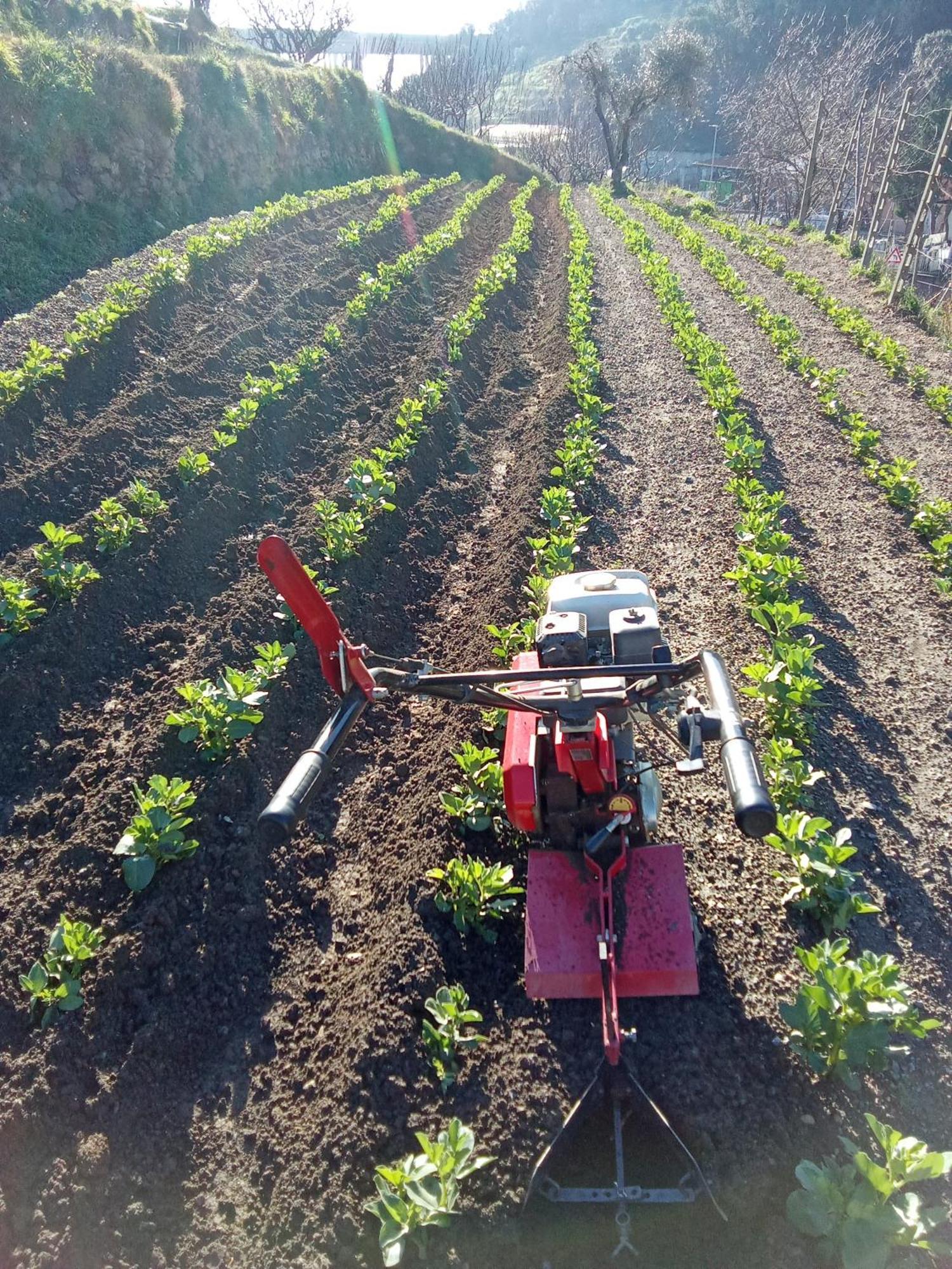 Agriturismo Cele Celle Ligure Dış mekan fotoğraf