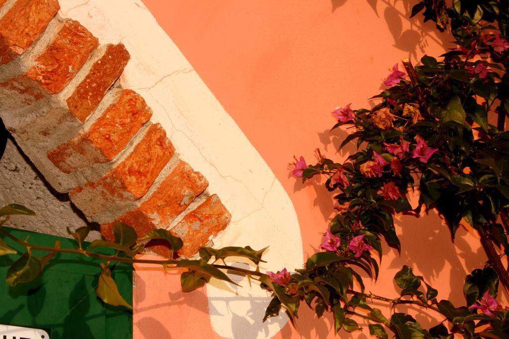 Agriturismo Cele Celle Ligure Dış mekan fotoğraf